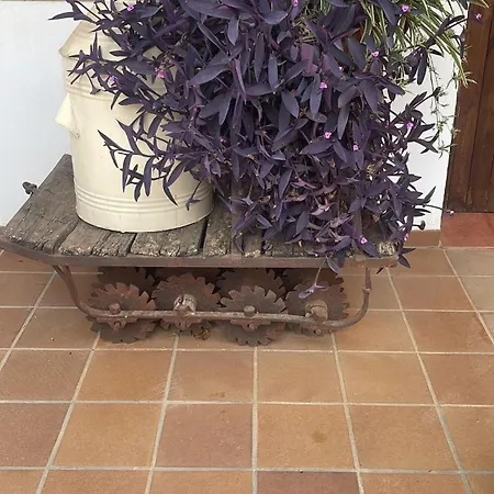 Hacienda Sierra Del Pozo -especial Grupos-